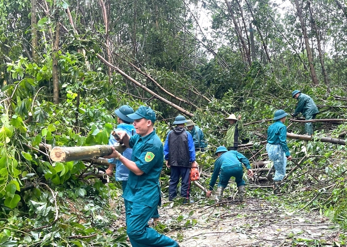 UBND tỉnh Tuyên Quang chỉ đạo các sở, ngành, địa phương đôn đốc, kiểm tra công tác phòng, chống thiên tai theo phương châm '4 tại chỗ' với tinh thần chủ động, kịp thời, quyết liệt nhất để bảo đảm an toàn tính mạng, giảm thiểu thiệt hại về tài sản; tổ chức lực lượng canh gác, kiểm soát giao thông tại các ngầm, tràn, khu vực ngập sâu, có nguy cơ xảy ra sạt lở, kiên quyết không cho người và phương tiện qua lại nếu không bảo đảm an toàn…