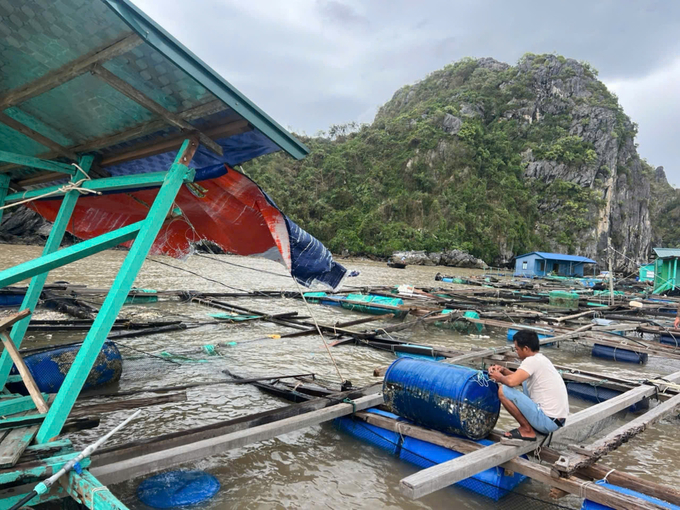 Hàng nghìn lồng bè nuôi hải sản tại Hải Phòng bị thiệt hại nặng nề do bão số 3. Ảnh: Đinh Mười.