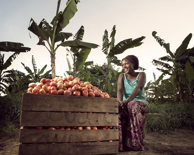 The global population has increased to more than 8 billion individuals, resulting in a greater demand for sustenance, particularly low-emission agricultural products. Photo: Stephan Gladieu / World Bank.