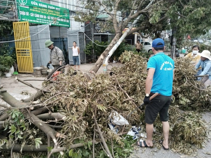 Nhiều tuyến đường phố tại Hải Phòng cần sự hỗ trợ để sớm có được đường thông hè thoáng. Ảnh: TP.