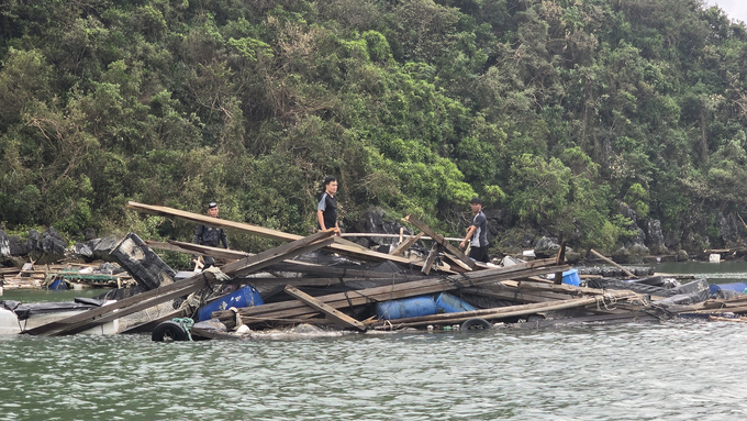 Nhiều người nuôi trồng thủy sản trên vùng biển Quảng Ninh 'tay trắng' sau cơn bão. Ảnh: Vũ Cường.