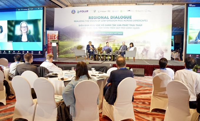 The private sector discussed solutions regarding value chain perspectives and solutions for sustainable rice. Photo: Linh Linh.