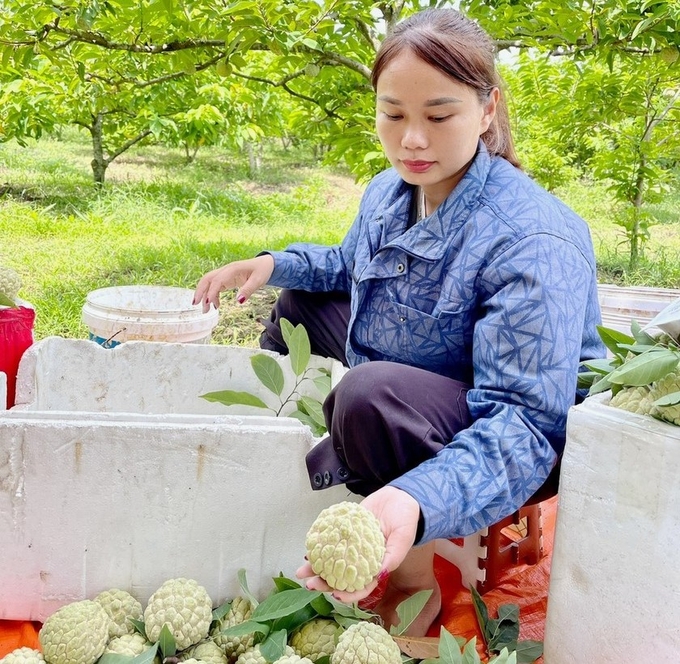 Các địa phương cần tăng cường tuyên truyền nâng cao nhận thức về vai trò, ý nghĩa của sức khỏe đất với sản xuất trồng trọt. Ảnh: Minh họa.