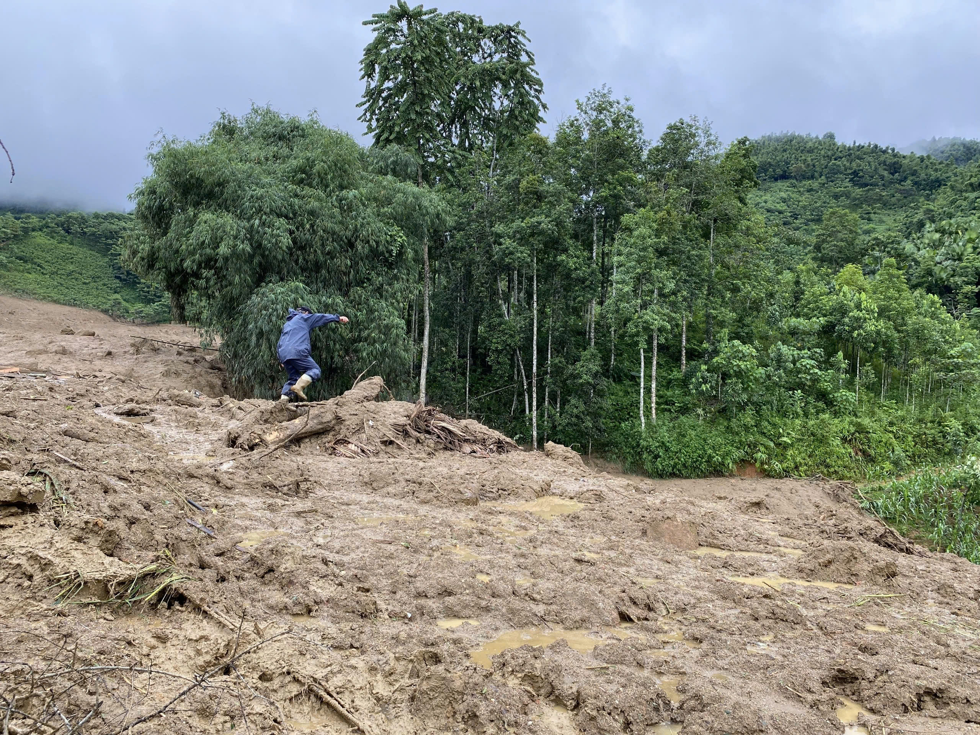 Nhập chú thích ảnh