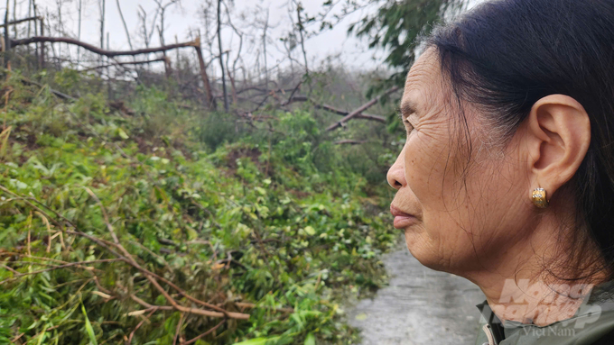 'Đau xót quá! Bao nhiêu công lao trồng và chăm sóc, chứng kiến cảnh này tôi rất đau lòng, không biết đến khi nào mới có thể khôi phục lại được cánh rừng thông', bà Dương Thị Nhẫn ngậm ngùi. Ảnh: Nguyễn Thành.