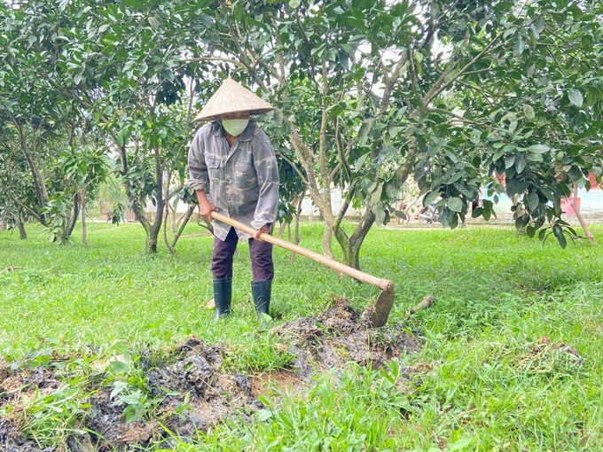 Khi hết mưa cần khơi thoát nước cho vườn cây.