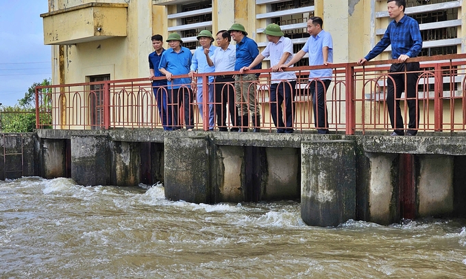 Đoàn kiểm tra Cục Thủy lợi tại trạm bơm Bình Hàn chiều 10/9. Ảnh: Bảo Thắng.