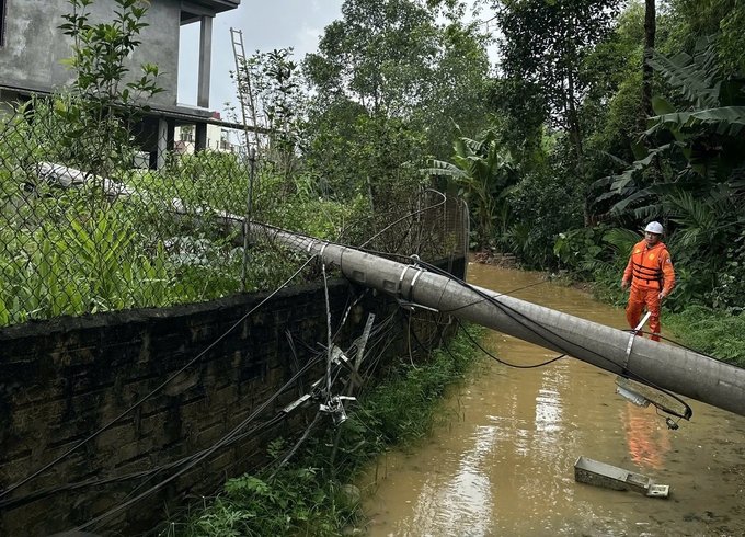 Nhiều cột điện ở Yên Bái bị đổ, gãy do bão số 3 gây mất điện diện rộng. 