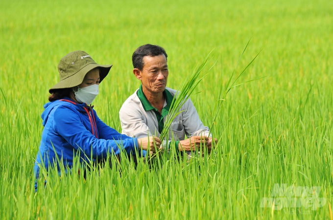 Dự án GIC hỗ trợ cho HTX Tiến Dũng mở lớp tập huấn kinh doanh cho nông dân (FBS) đã giúp nông dân nâng cao kiến thức tổ chức quản lý, điều hành, liên kết doanh nghiệp. Ảnh: Lê Hoàng Vũ.