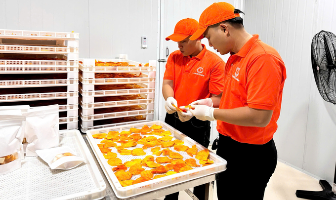 The mango drying production area of the 9X group. Photo: KS.