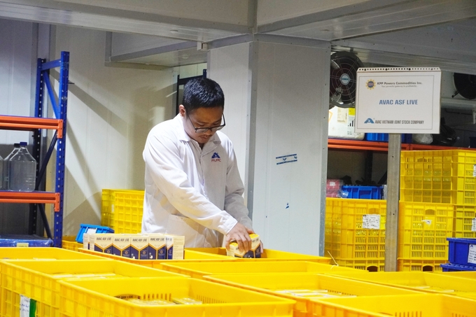 Workers count ASF vaccines at AVAC Vietnam Joint Stock Company’s factory in Hung Yen. Photo: Hong Tham.