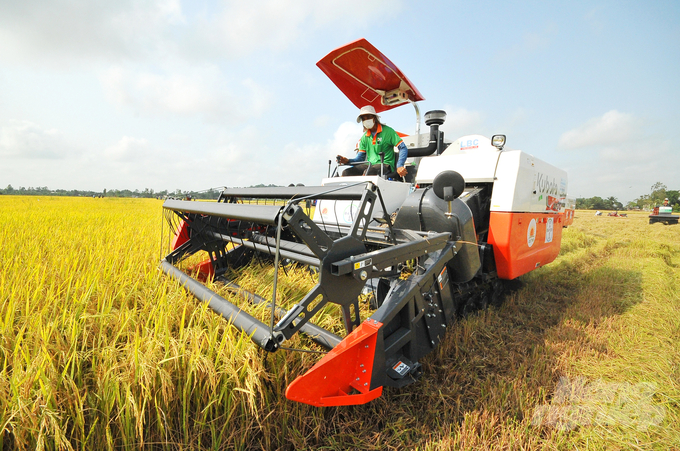 Green innovations can enhance farmers' and cooperatives' competitiveness, improve production processes, and optimize supply chains. Photo: Le Hoang Vu.