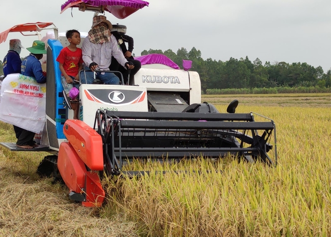 Đất trồng lúa bao gồm đất chuyên trồng lúa và đất trồng lúa còn lại. Ảnh: Minh họa.