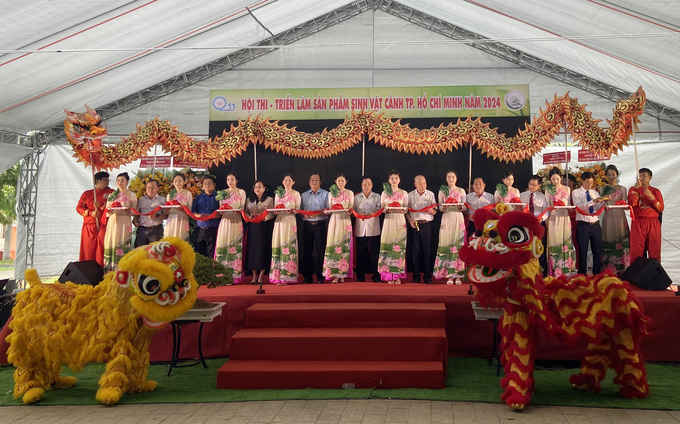 The 2024 Ornamental Plants Exhibition-Competition will take place from September 11 to September 15 at Duong Dinh Nghe Park (District 11, Ho Chi Minh City). Photo: P.T.