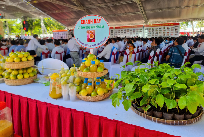 Sản phẩm chanh Hoàng kim VN77 được Công ty TNHH Nông nghiệp Thái An trưng bày tại hội chợ huyện Tân Phước. Ảnh: Quang Yên.