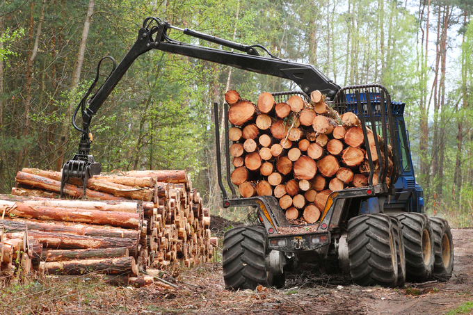 The Tennessee Department of Agriculture emphasizes sustainability in forestry.