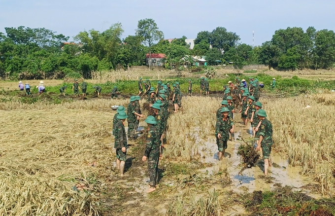 Lực lượng quân đội hỗ trợ người dân xử lý đồng ruộng bị ngập tại huyện Phú Bình. Ảnh: Quang Linh.