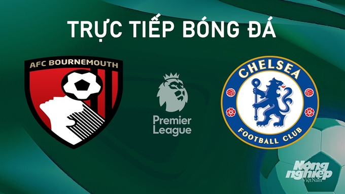 Trực tiếp bóng đá Ngoại hạng Anh giữa Bournemouth vs Chelsea ngày 15/9/2024