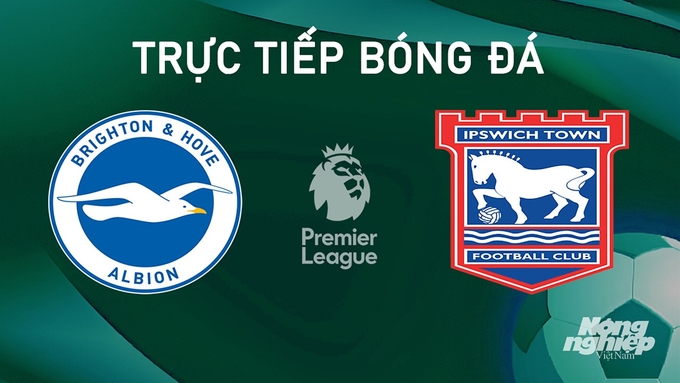 Trực tiếp bóng đá Ngoại hạng Anh giữa Brighton vs Ipswich Town hôm nay 14/9/2024