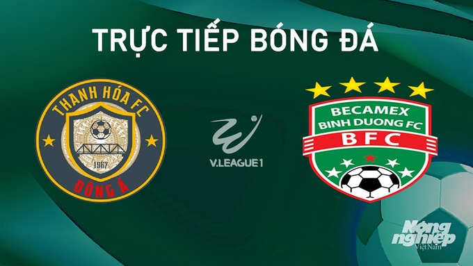 Trực tiếp bóng đá V-League 2024/25 giữa Thanh Hóa vs Bình Dương hôm nay 14/9/2024