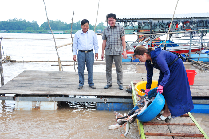 Người dân mang cá xuống sông Tiền thả nhằm tái tạo nguồn lợi thủy sản. Ảnh: Lê Hoàng Vũ.