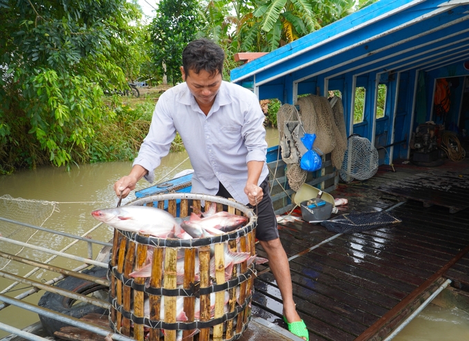 Kết nối chặt chẽ giữa vùng nguyên liệu với doanh nghiệp chế biến là điều cần thiết để kiểm soát dư lượng kháng sinh, hóa chất trên thủy sản nuôi. Ảnh: Kim Anh.