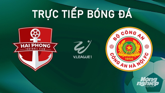 Trực tiếp bóng đá V-League 2024/25 giữa Hải Phòng vs CAHN hôm nay 15/9/2024