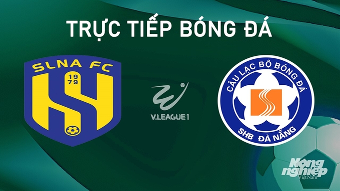 Trực tiếp bóng đá V-League 2024/25 giữa SLNA vs Đà Nẵng hôm nay 15/9/2024