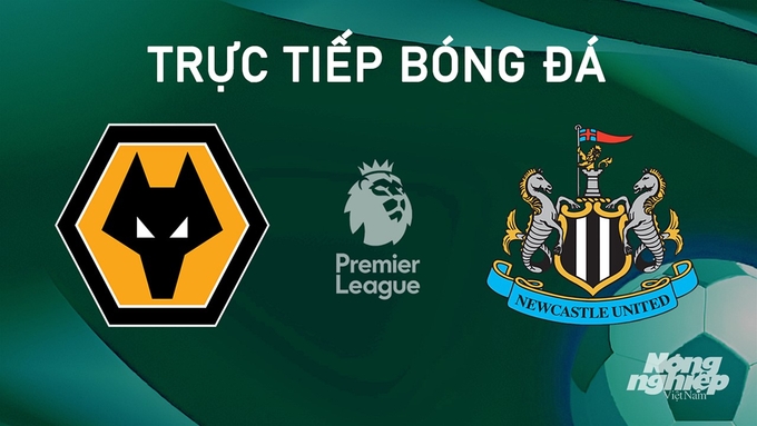 Trực tiếp bóng đá Ngoại hạng Anh giữa Wolves vs Newcastle United hôm nay 15/9/2024