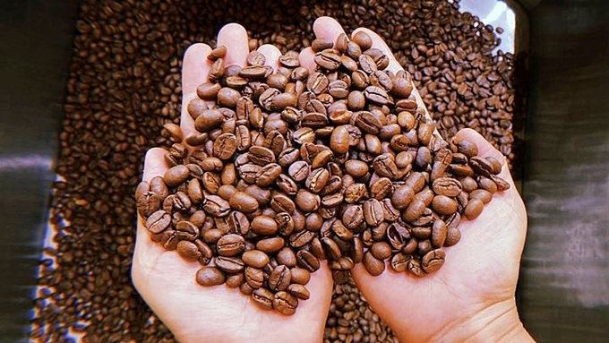 Latest domestic and global coffee prices on 09/15/2024