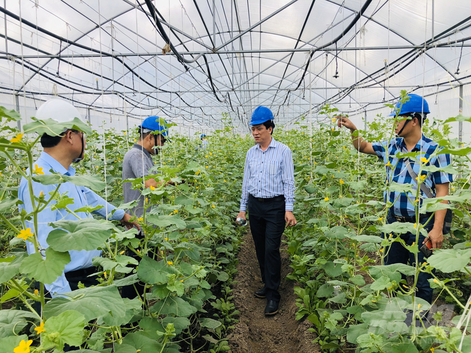 Các doanh nghiệp đầu tư trang trại trồng dưa lưới trong nhà kính tại trên địa bàn tỉnh Đồng Nai. Ảnh: Minh Sáng.