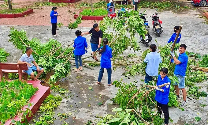 Nhiều cây xanh đổ, gãy trên địa bàn Hải Dương được thu gom.