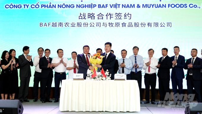 Đại diện lãnh đạo Muyuan và BAF Việt Nam tặng hoa chúc mừng hợp tác chiến lược, hai bên sẽ cùng nhau cải tiến toàn diện hệ thống chuỗi khép kín từ các nhà máy sản xuất thức ăn chăn nuôi đến mô hình chuồng trại. Ảnh: Minh Sáng.