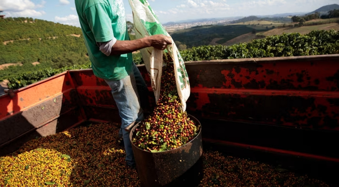 An EU ban on the import of commodities linked to deforestation would affect Brazilian exports of products including coffee, palm oil and cocoa © Patricia Monteiro/Bloomberg