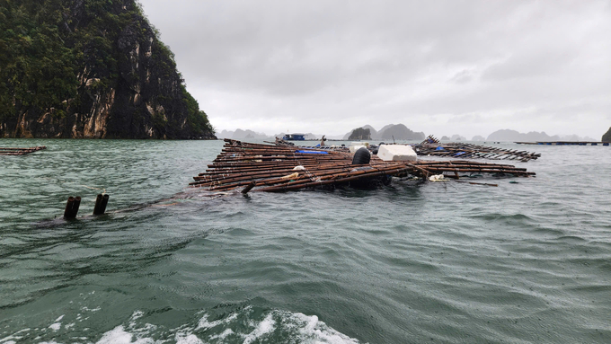 Billions of dollars disappear into the sea foam. Photo: Hoang Anh.