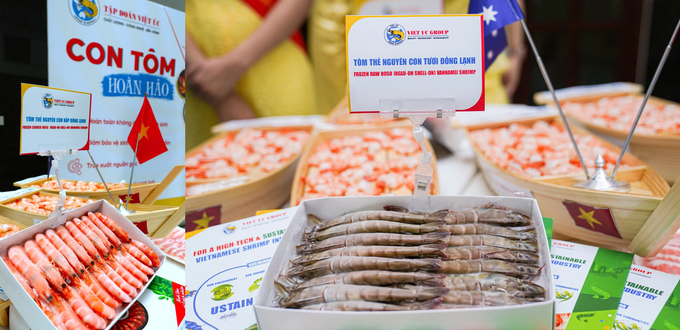 Viet Uc’s 'Perfect shrimp' product has successfully entered many demanding international markets.