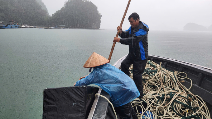 Salvaging after the storm. Photo: Tien Thanh.