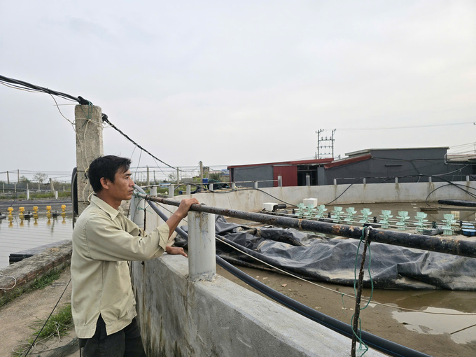 Một hộ nuôi tôm ở phường Tân Thành bị thiệt hại sau bão số 3. Ảnh: Đinh Mười.