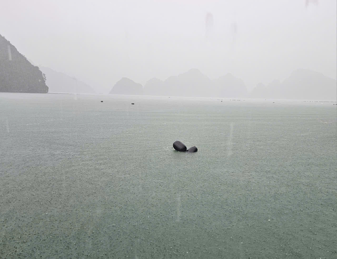 What remains in Bai Tu Long Bay after the storm. Photo: Hoang Anh.