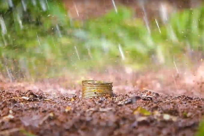 Farmers use old cans to measure the amount of water for coffee trees every time it rains. Photo: Thanh Son.