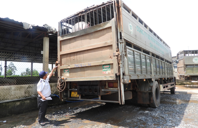 Chi cục Chăn nuôi và Thú y tỉnh Tây Ninh tăng cường công tác kiểm dịch động vật. Ảnh: Trần Trung.