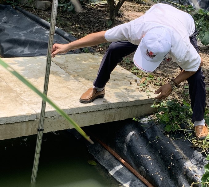 Measuring water levels in pomelo garden ditches of a pilot model in Tien Giang. Photo: Minh Dam.