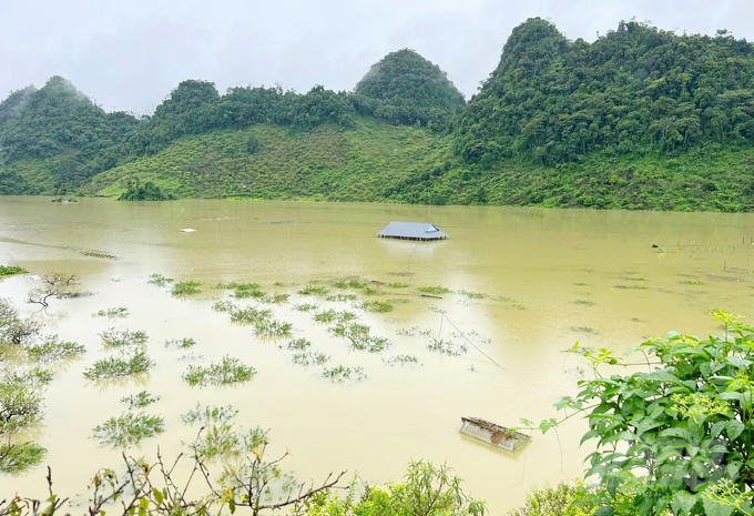 Thung lũng mận Nà Ka sau bão số 3. Ảnh: Lê Minh Quốc.