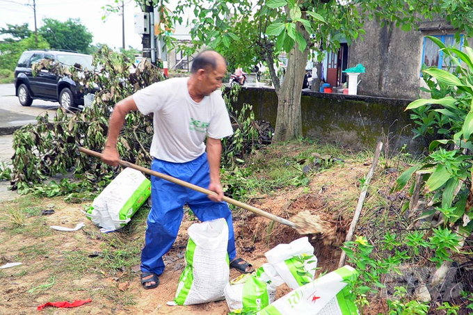 Tại xã Triệu Vân, xã Triệu An..., người dân xúc cát đè chắn mái tôn để ứng phó bão số 4.