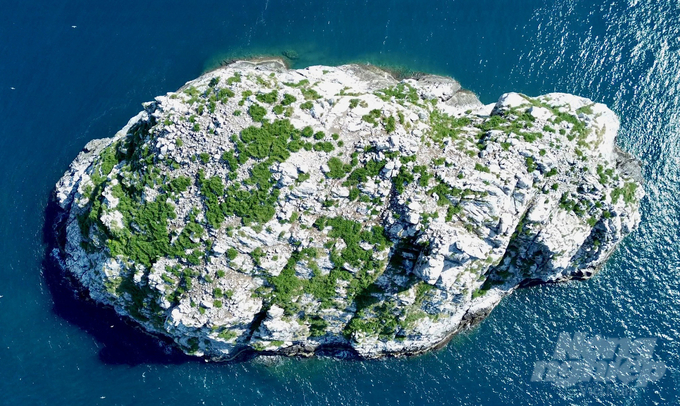 Hon Trung is known as the largest seabird sanctuary in Southeast Asia. Photo: TL.