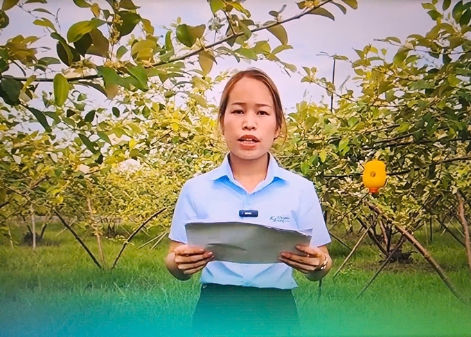 Engineer Bui Thi Duyen is hosting a program. Photo: Screenshot from the Thuy Nguyen Agricultural Extension Station's video.