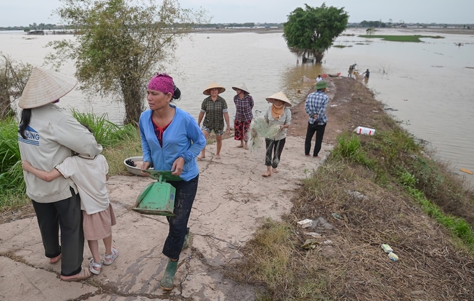 Do cá tràn khỏi lồng, bè rất nhiều, người dân tại khu vực xã Thái Tân tập trung thuyền, lưới để bắt. Ảnh: Tùng Đinh.