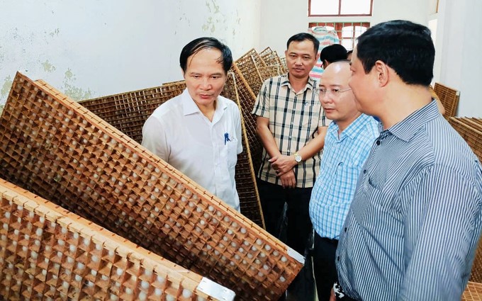 Mr. Nguyen Van Viet, Director of the Department of Agriculture and Rural Development (white shirt), visited the Cooperative's model of growing mulberry trees and raising silkworms. Photo: Thanh Nga.