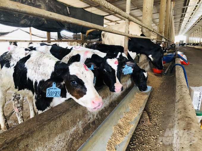 Businesses and livestock farms in Dong Nai province are pioneers in adopting high technology. Photo: Minh Sang.