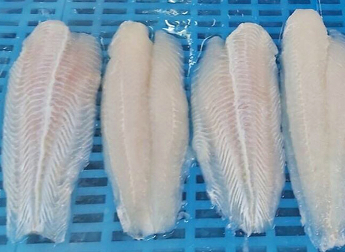 Pangasius fillets for export. Photo: Son Trang.